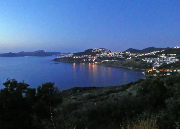 Priene - Private Pool גומושלוק