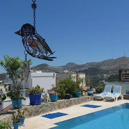 Priene - Private Pool *