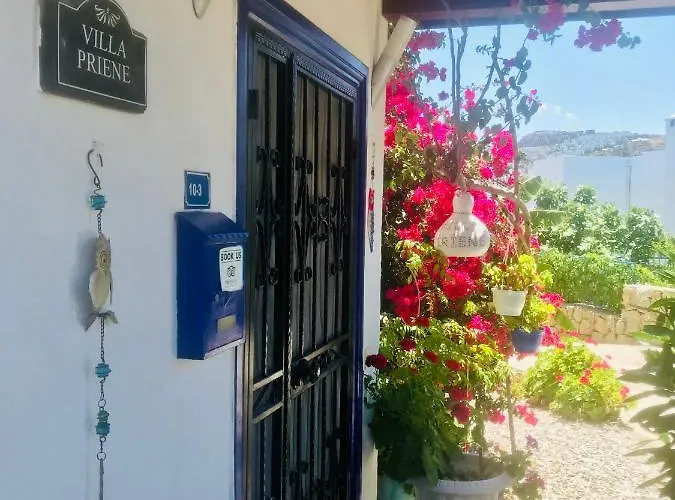 Priene - Private Pool Gümüşlük